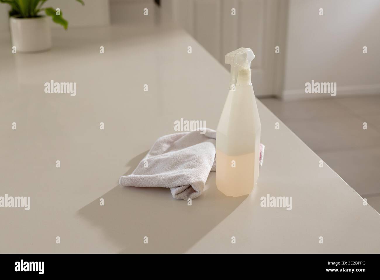 Vaporisateur transparent avec liquide pâle assis à côté du chiffon plié sur le comptoir léger près de la plante gauche. Translucide, pulvérisateur, minimaliste, cuisine, greene Banque D'Images