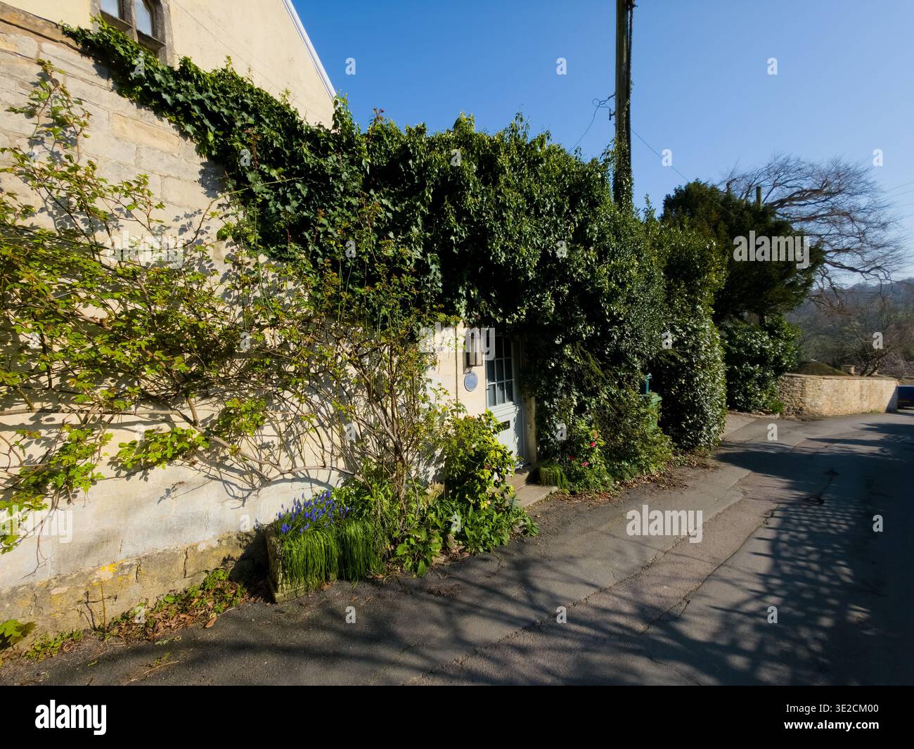 Sunlit Narrow Cotswold Lane avec Honey Stone Houses et Lens Flare, Painswick Area, Gloucestershire, Angleterre - Image de stock capturée avec un smartphone