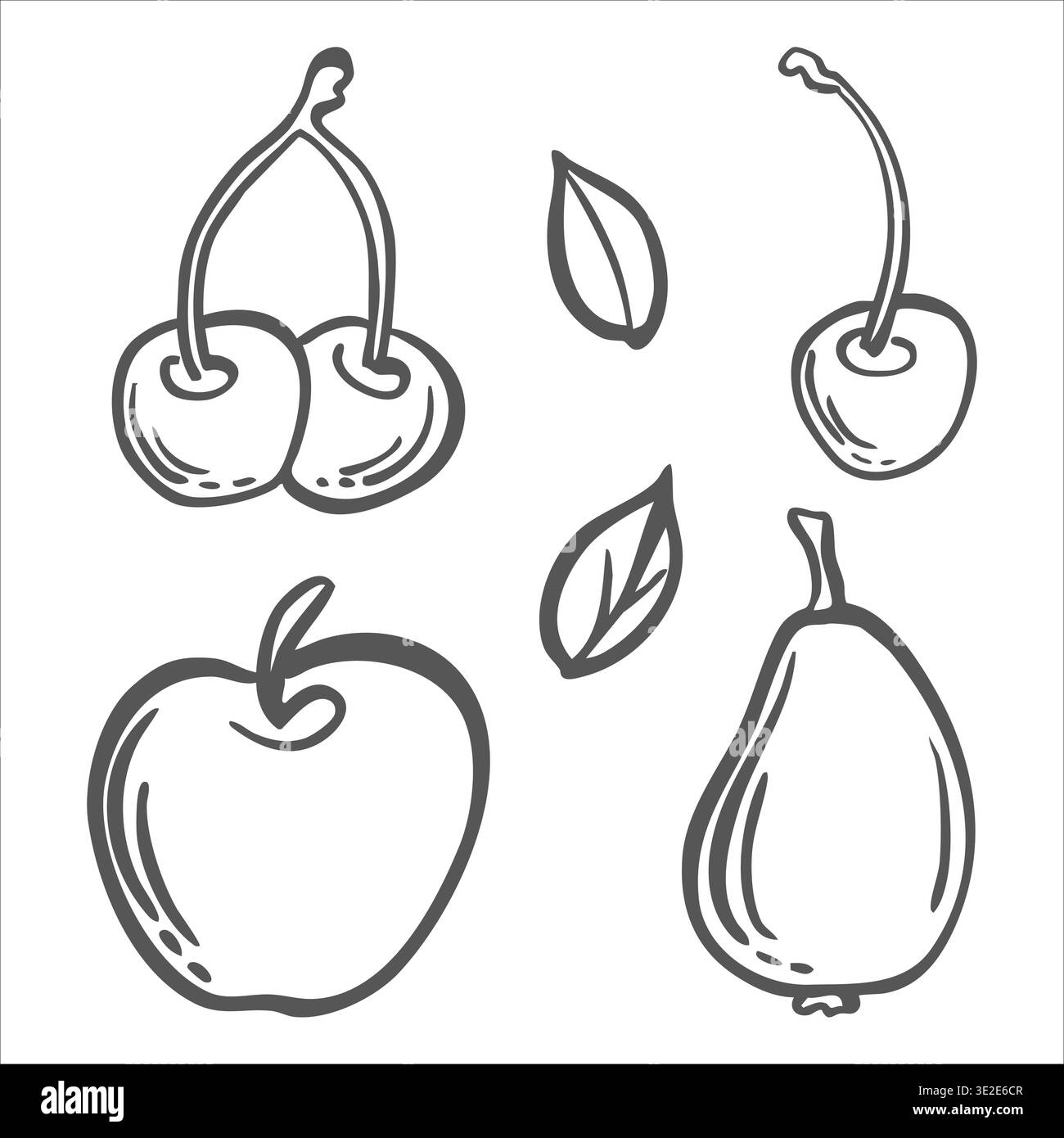 Ensemble d'illustrations graphiques vectorielles de fruits pour la conception alimentaire. Doodle isolé dessiné à la main de pomme, cerise et poire. Alimentation saine, noir de vitamine d'été Illustration de Vecteur
