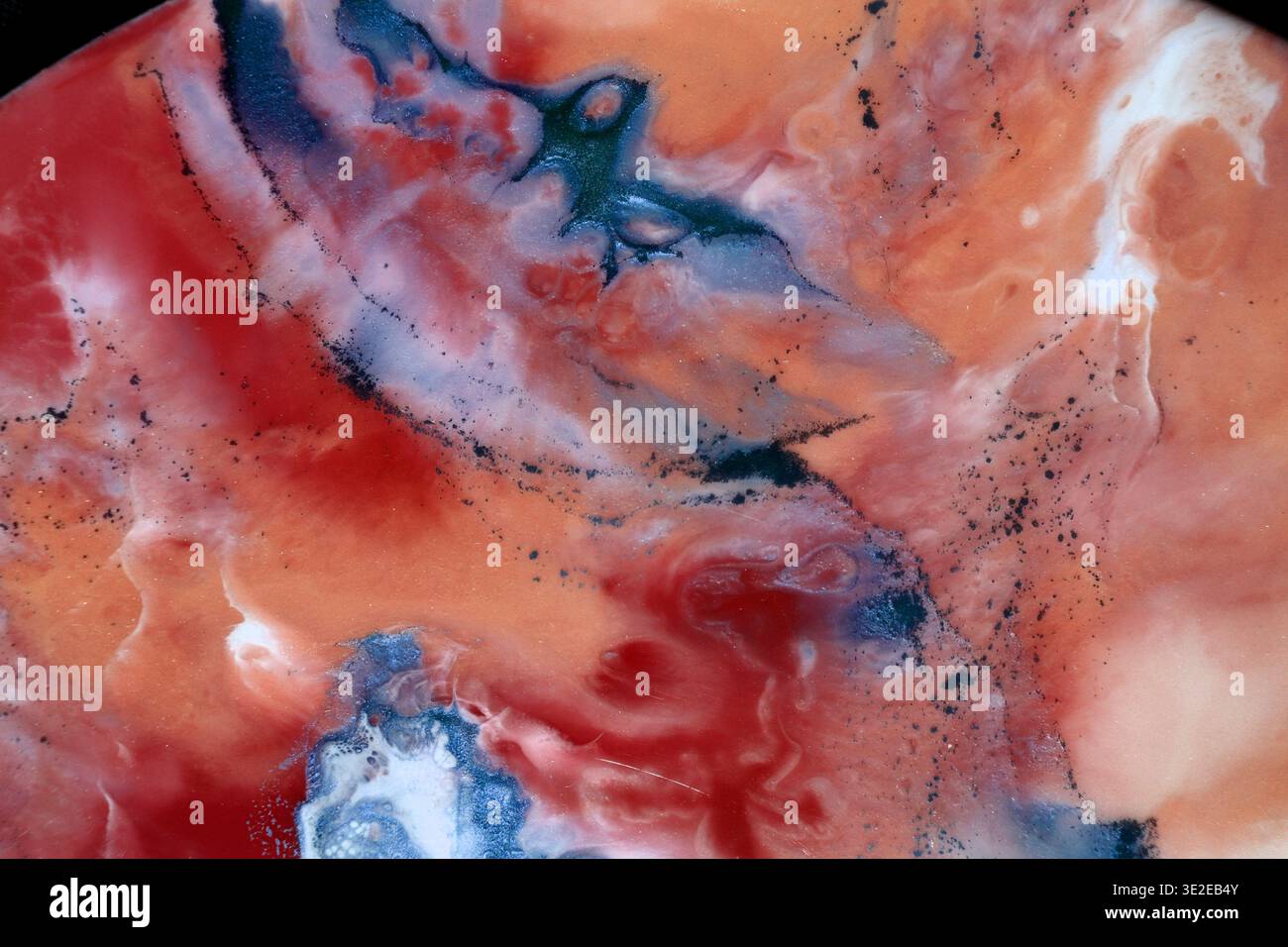 Fond d'art fluide abstrait avec motif tourbillonnant de rouge vif, corail, blanc, bleu foncé contrastant. Gros plan macro de résine époxy, alcool i. Banque D'Images
