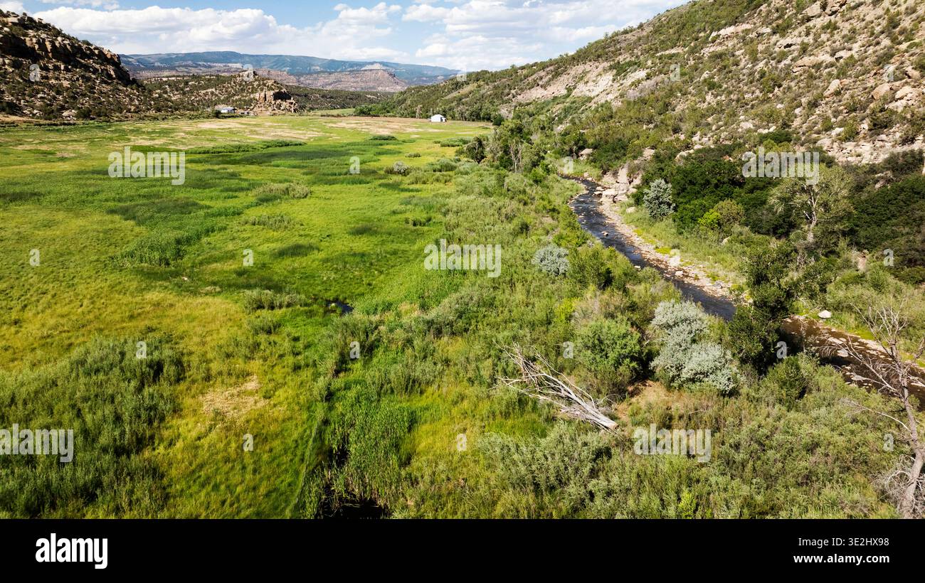 Prise de vue aérienne au-dessus d'une prairie luxuriante dans les montagnes Rocheuses semi-arides Banque D'Images