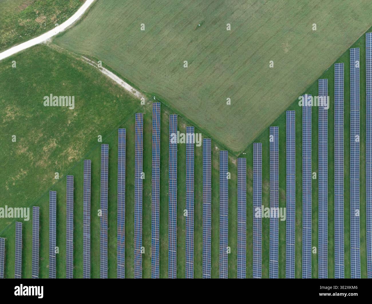 Des rangées de panneaux solaires couvrent l'herbe verte dans une vue aérienne montrant la conception d'énergie propre. Banque D'Images