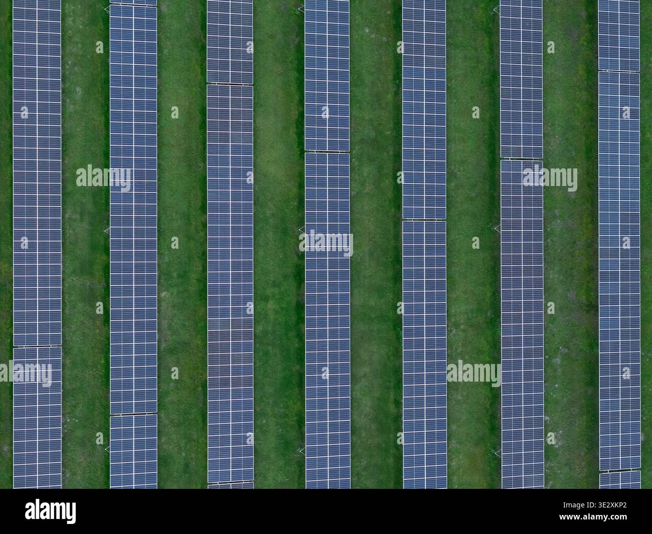 Des rangées de panneaux solaires s’alignent sur un terrain d’herbe verte, mettant en valeur une source d’énergie durable d’un point de vue aérien. Banque D'Images