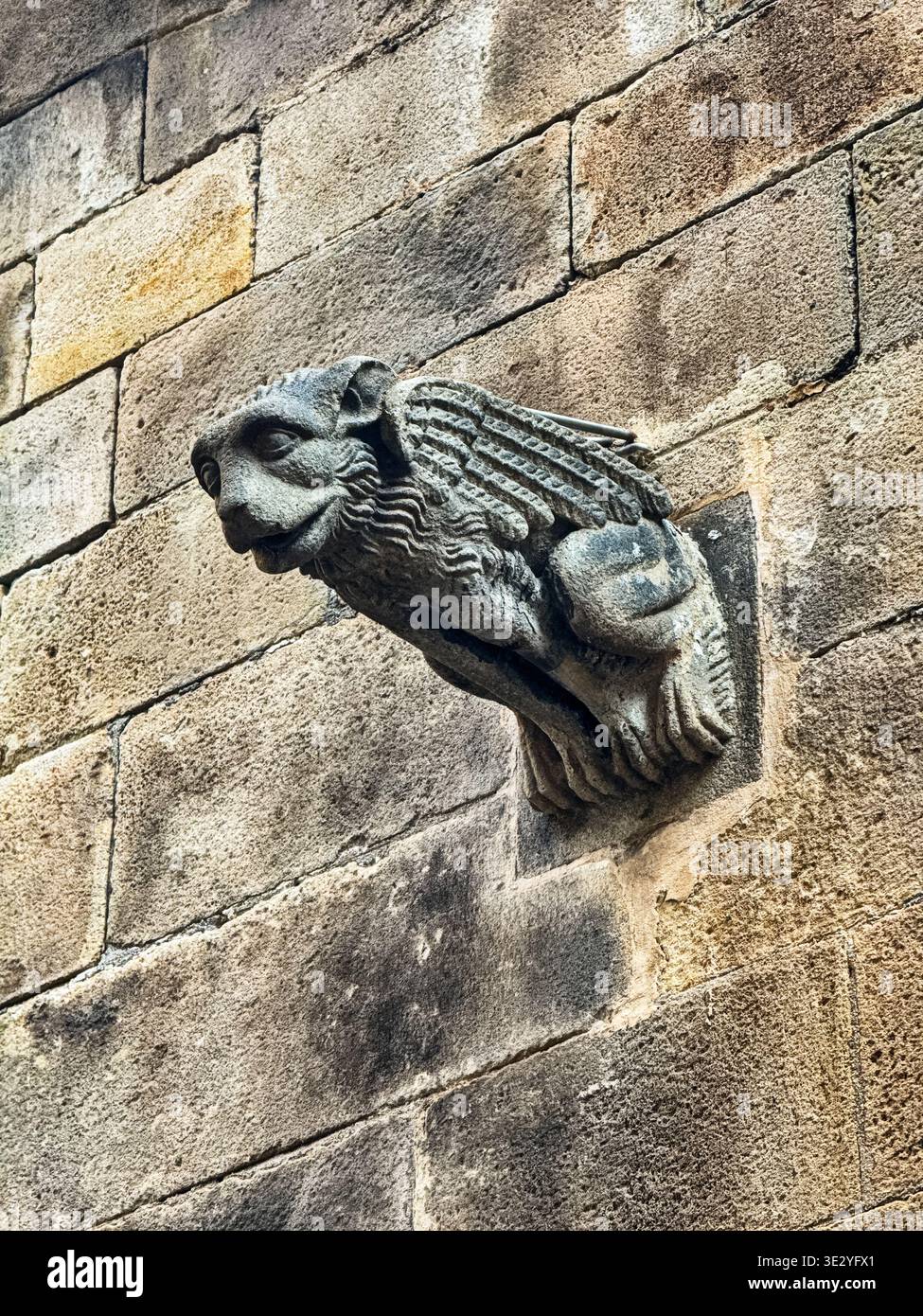 Un petit bébé griffin avec des ailes est perché sur un mur de pierre extérieur de la cathédrale de Barcelone. Banque D'Images