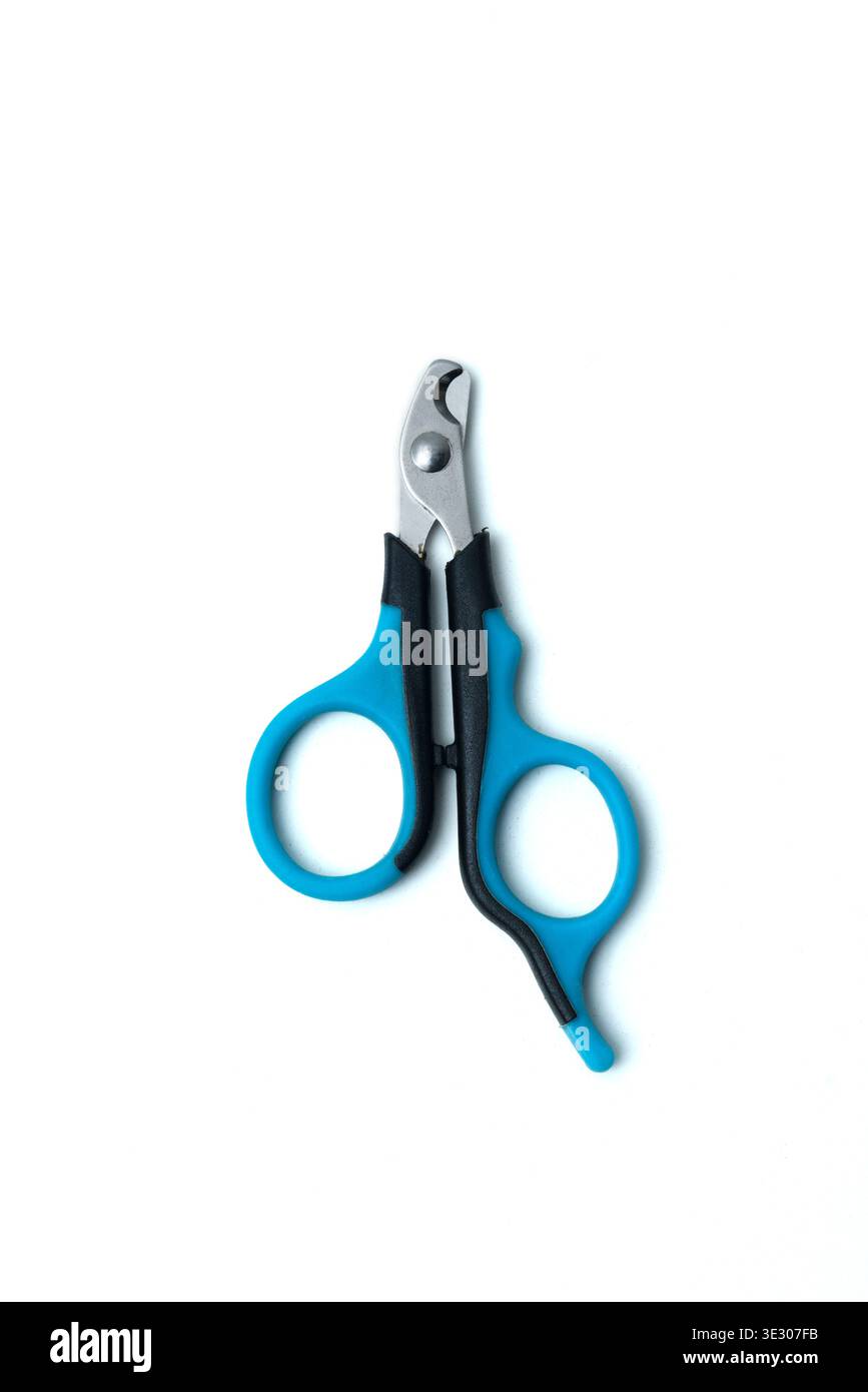 Une paire de coupe-ongles bleus et noirs pour animaux avec poignées ergonomiques et une lame métallique courbée, isolés sur fond blanc, mettant en valeur l'essentiel du marié Banque D'Images