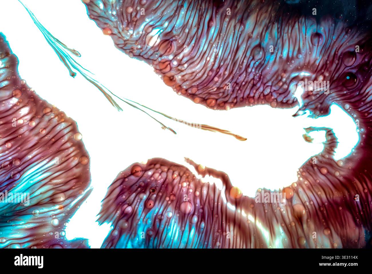 Composition liquide frappante ressemblant à une silhouette d'oiseau formée par de la peinture fluide. Abstrait haute énergie avec contraste et mouvement spectaculaires. Banque D'Images