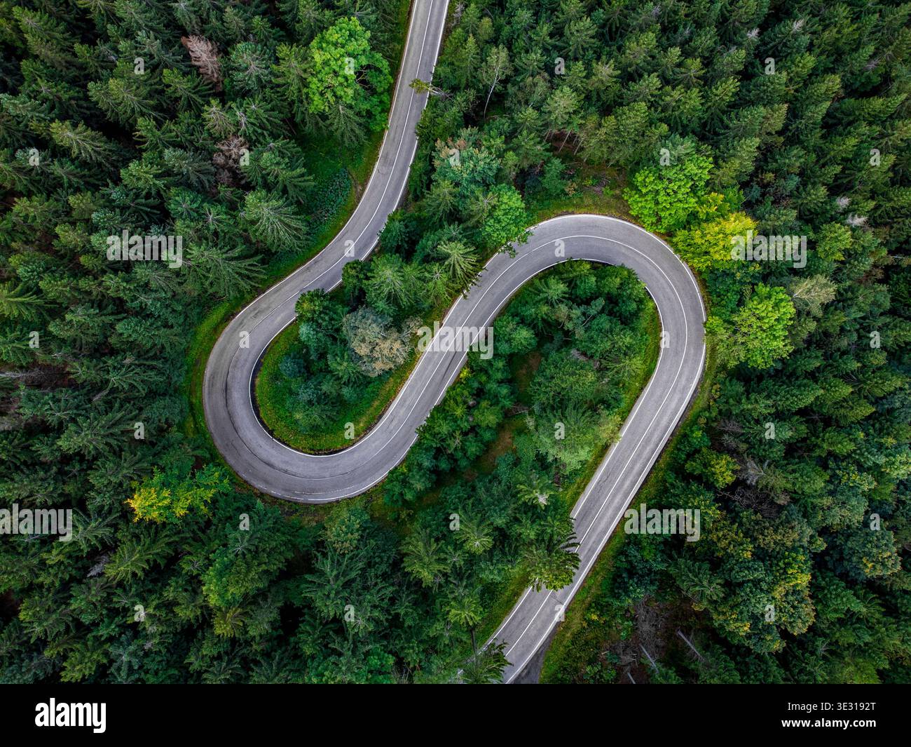 Vue aérienne de haut en bas d'une route de montagne courbe avec des virages en épingle à cheveux serrés entourée d'une forêt de conifères verdoyants dense dans un paysage naturel pittoresque. Banque D'Images