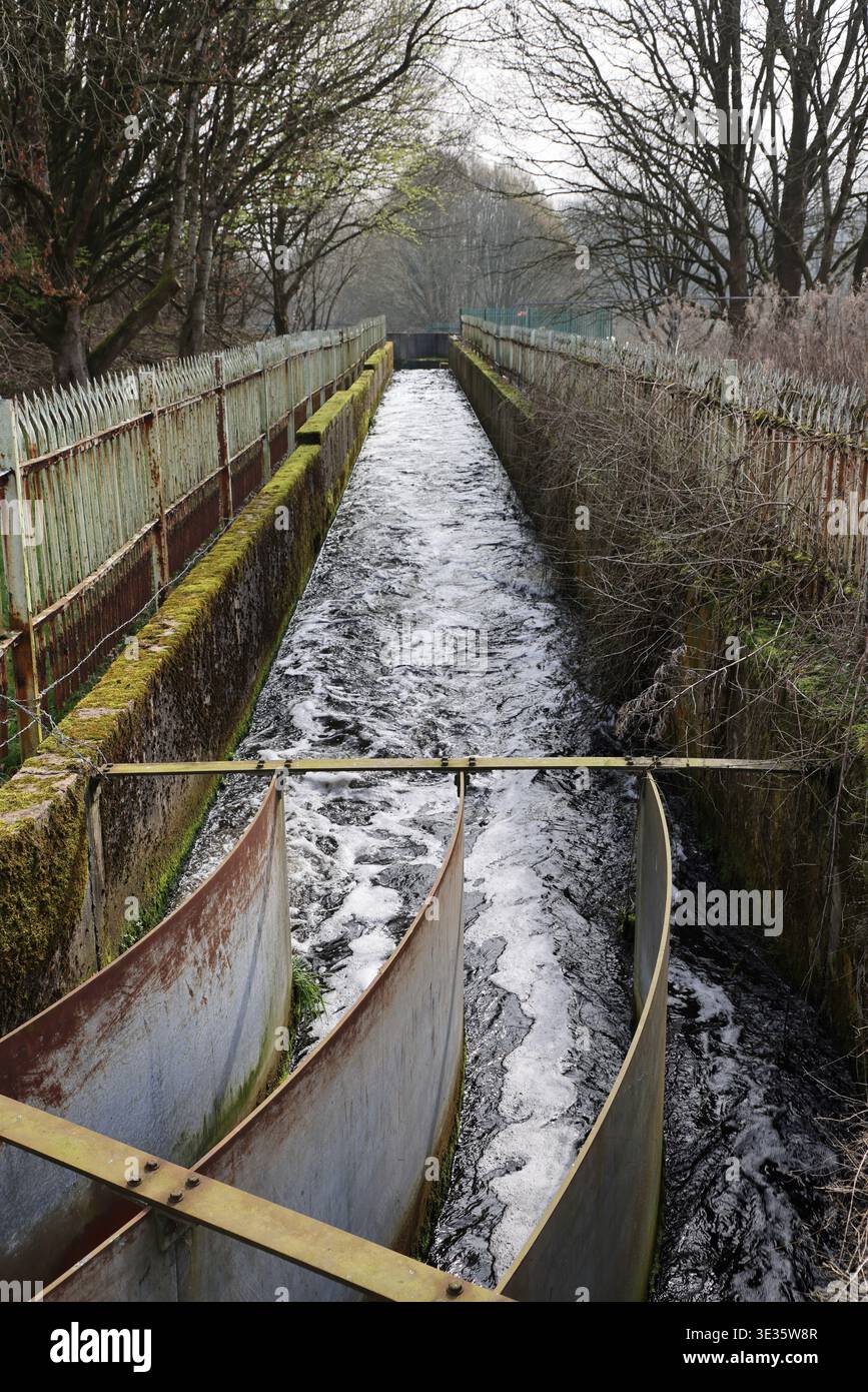 Chenal d'évacuation en béton de l'usine de traitement des eaux usées de Bolton jusqu'à la rivière Irwell, Bolton et Salford, au Royaume-Uni. Banque D'Images
