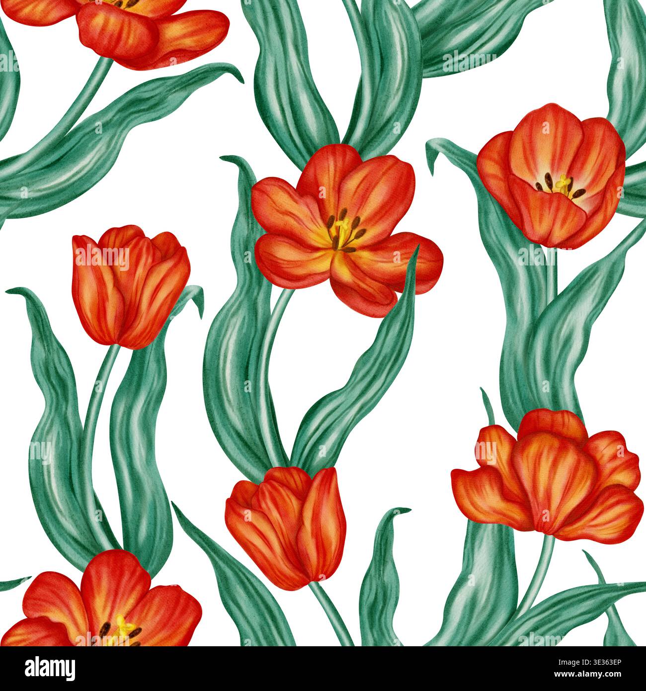 Motif aquarelle sans couture avec tulipes rouges vibrantes et feuilles vertes. Fond floral élégant pour les vacances de printemps, les dessins de Pâques, le textile et l'emballage Banque D'Images