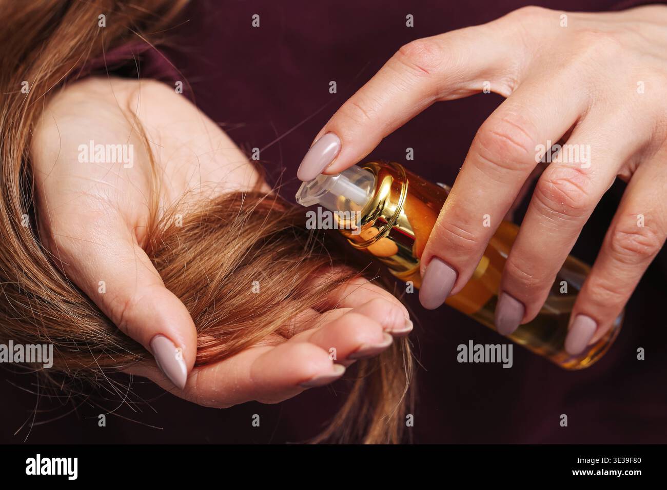 Mains féminines appliquant de l'huile ou du sérum aux pointes des cheveux. Routine de soins capillaires et concept de traitement de beauté. Produit cosmétique utilisé pour des cheveux sains et brillants. Banque D'Images