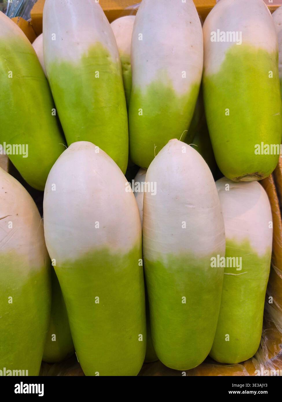 Radis blanc frais affiché dans la boîte au marché Banque D'Images