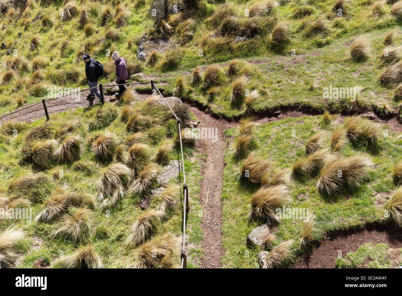 Randonneurs sur la piste de randonnée dans les Port Hills, Christchurch, Nouvelle-Zélande. Banque D'Images