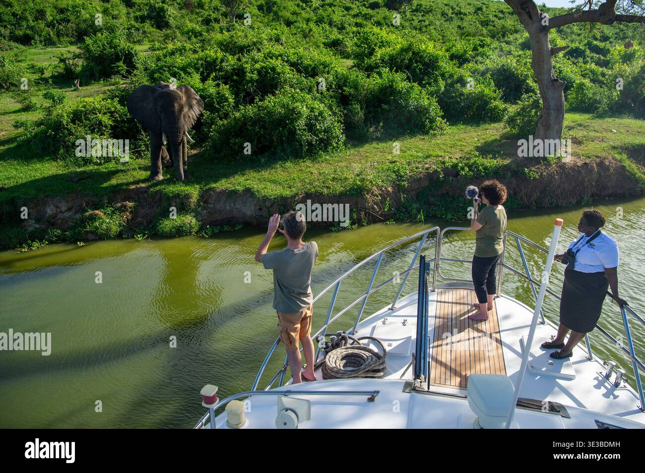 Excursion en bateau sur le canal de Kazinga, parc national de la Reine Elizabeth, Ouganda Banque D'Images