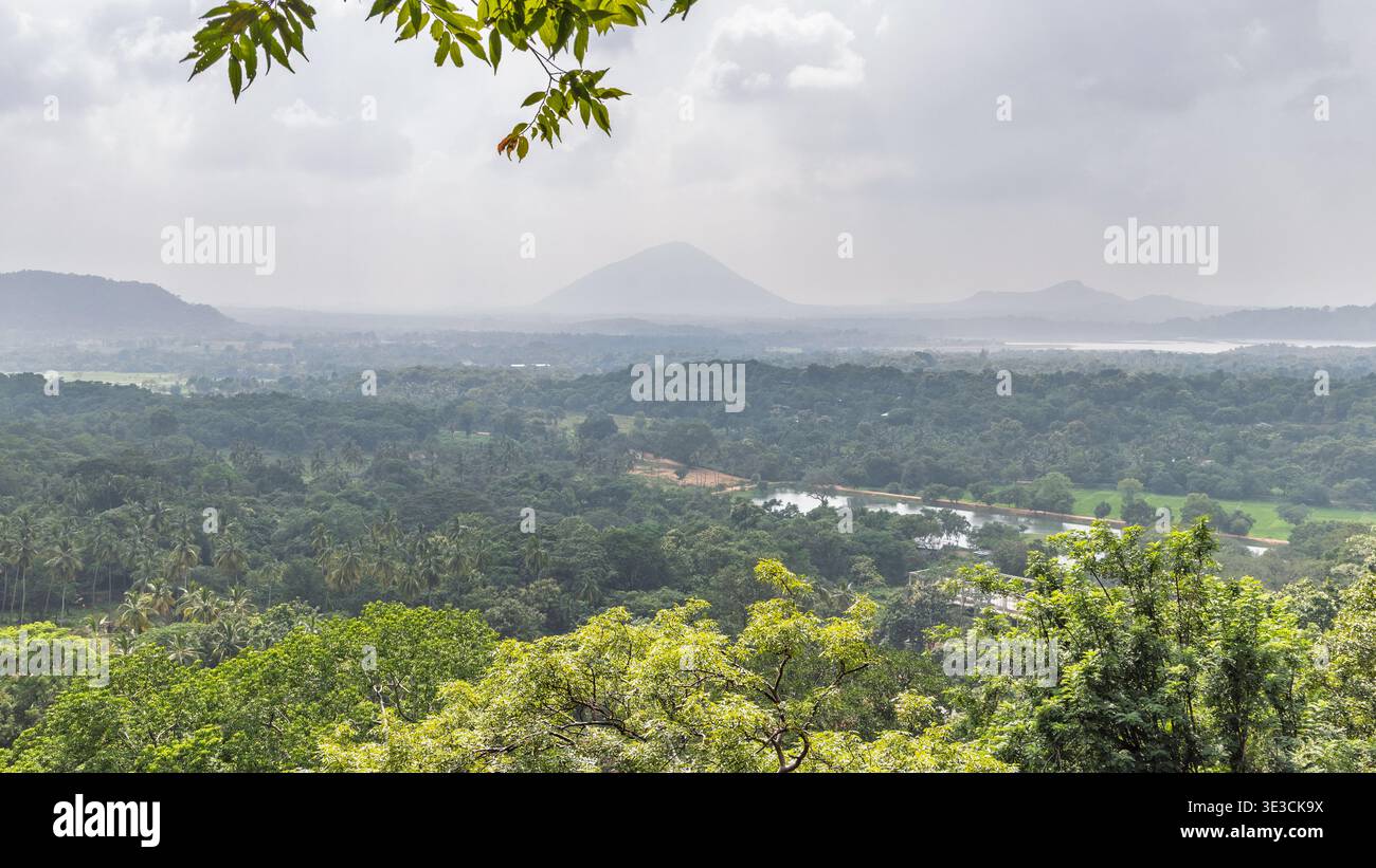 Paysage forestier tropical panoramique avec montagnes lointaines et rivière sous ciel couvert, verdoyant canopée vue d'en haut. Île de Sri Lanka en Asie. Banque D'Images