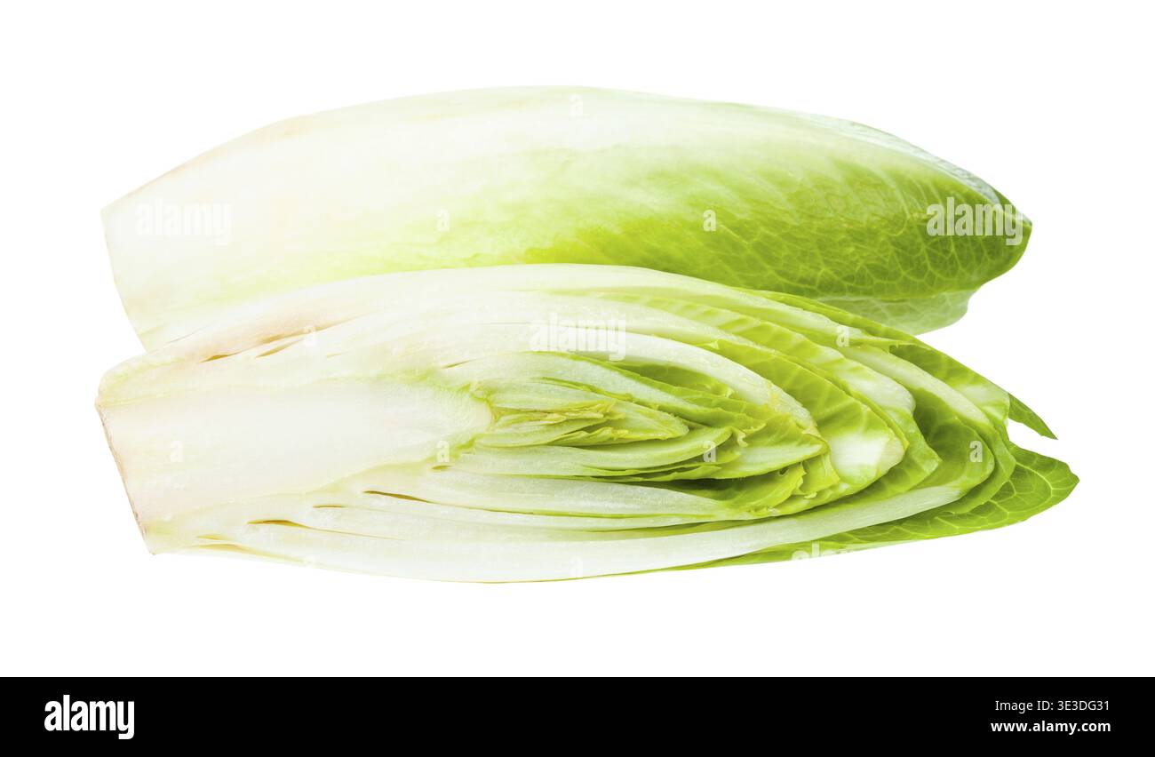 Endive belge tranchée (chicorée commune blanche) sur fond blanc Banque D'Images