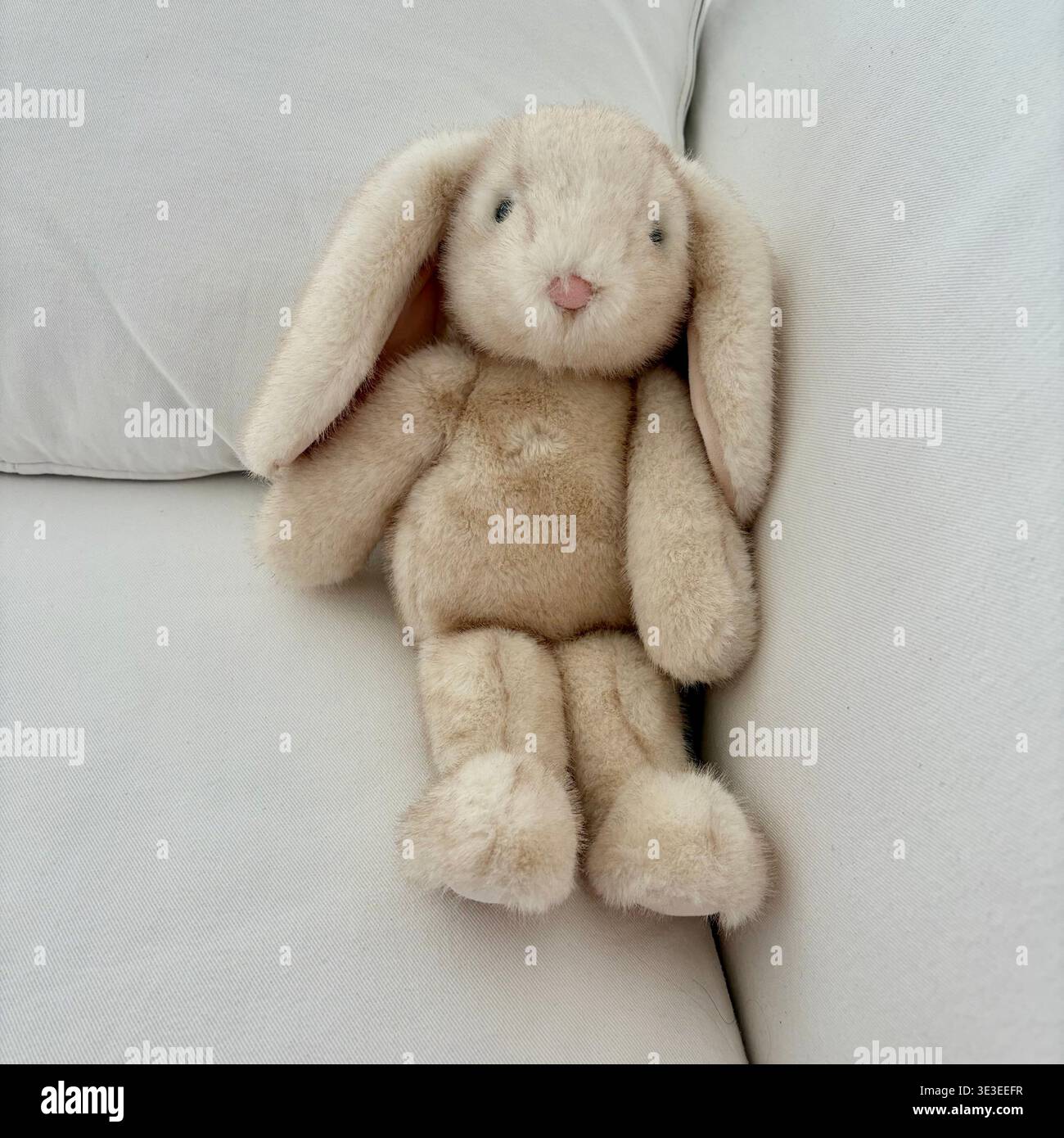 Un lapin animal en peluche est assis sur un canapé. Banque D'Images
