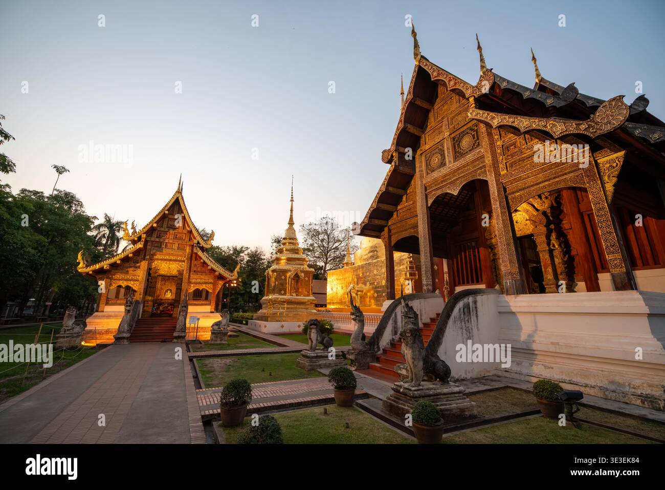 Chiang mai, Thaïlande – 5 mars 2020 : des édifices de temple ornés et un chedi doré sont vus dans le parc de Wat Phra Singh au coucher du soleil. Banque D'Images
