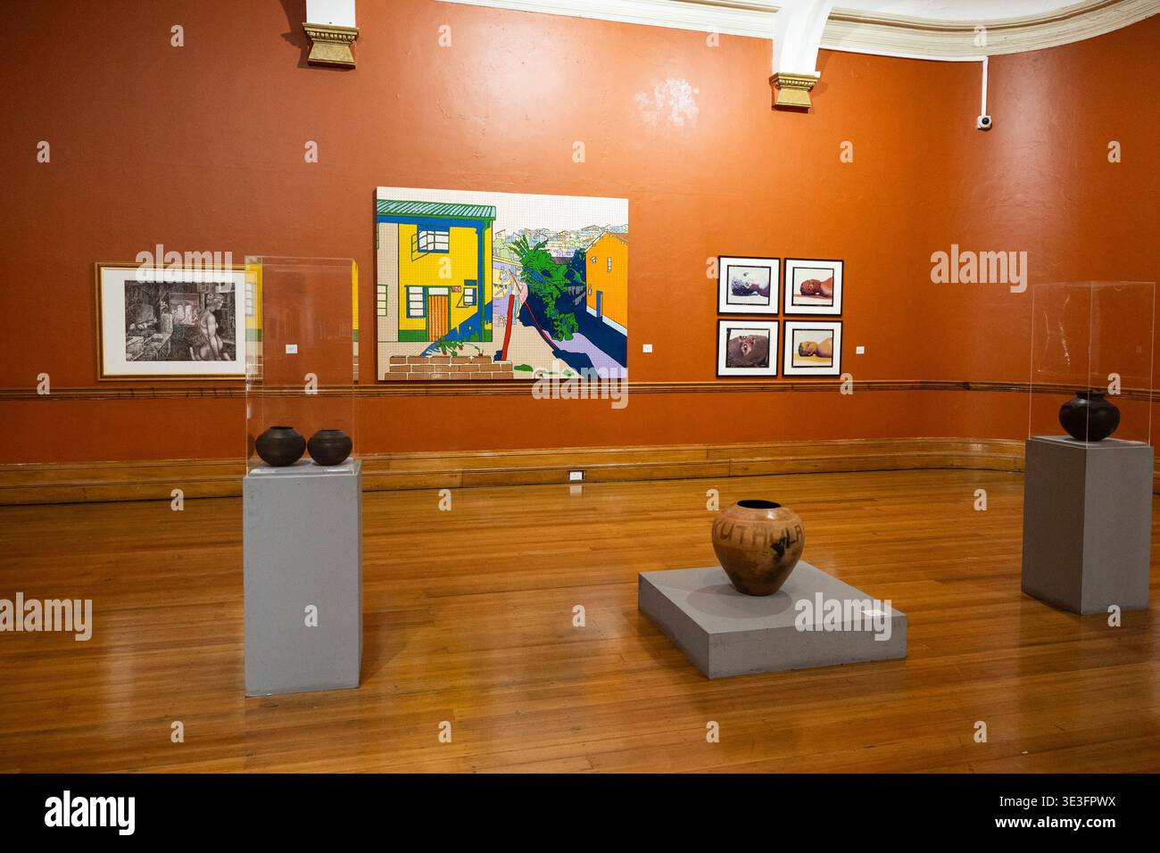 Galerie d'art au Musée des sciences naturelles de Durban, Durban, Afrique du Sud Banque D'Images