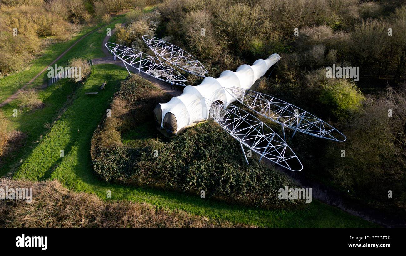 Vue aérienne d'une sculpture géante de libellule reposant sur une petite colline entourée de feuillage vert, Dragonfly, Kortrijk, Belgique. Banque D'Images