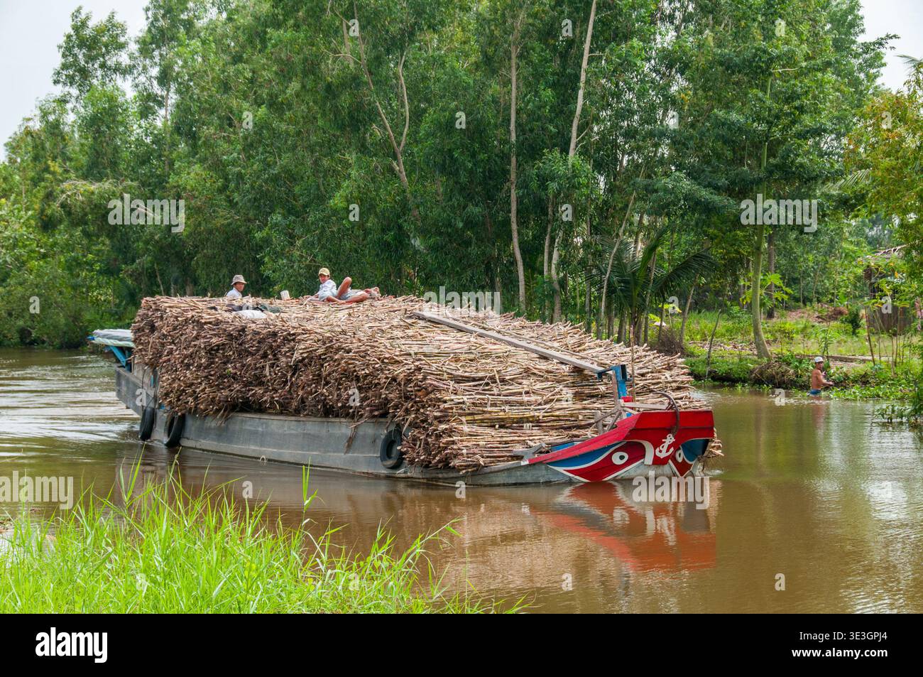 Bateau cargo transportant des cajeput dans le delta du Mékong Banque D'Images