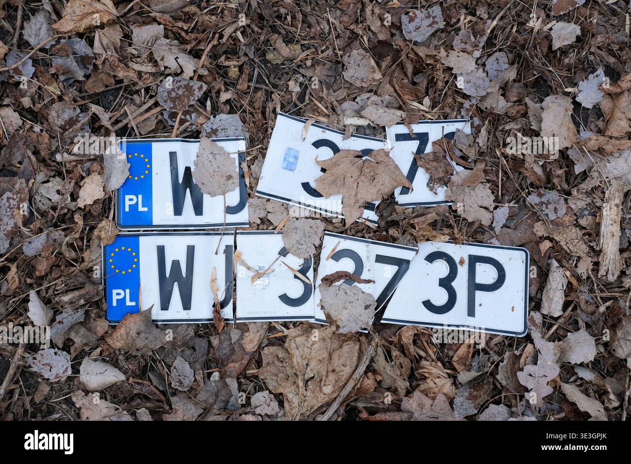 Les plaques d'immatriculation de véhicules brisées reposent parmi les feuilles sèches sur le sol dans un environnement extérieur Banque D'Images