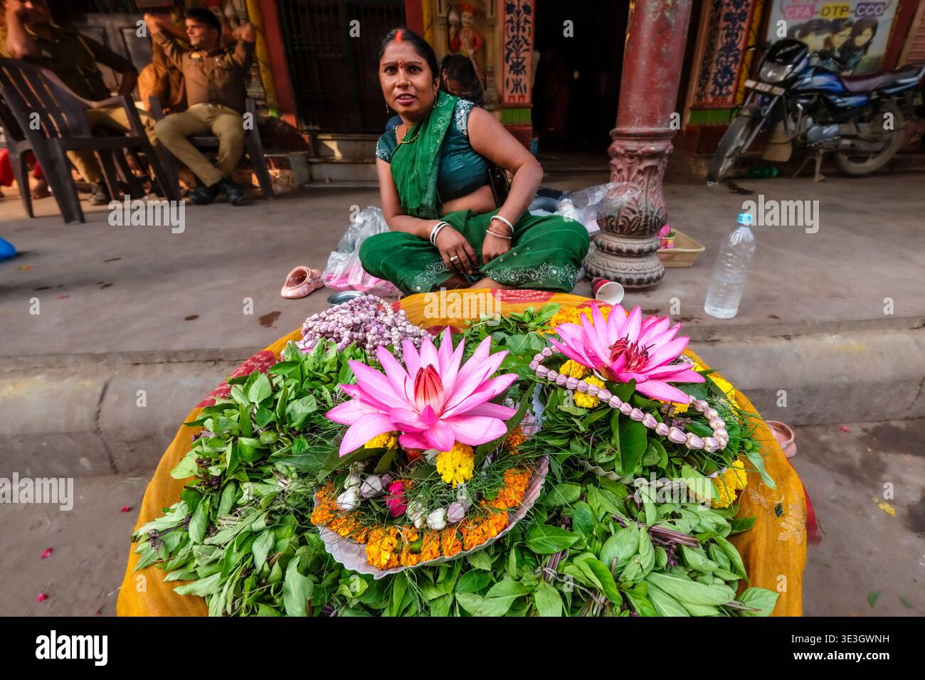Une femme assise dans une rue Varanasi présente de grandes fleurs de lotus roses et des feuilles vertes disposées sur un tissu doré. Banque D'Images