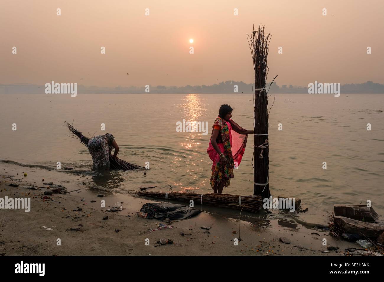 Une femme se tient au bord de la rivière à Telianala Ghat à Varanasi, organisant de grands paquets de bâtons en osier pour le tissage du panier pendant le lever du soleil. Banque D'Images