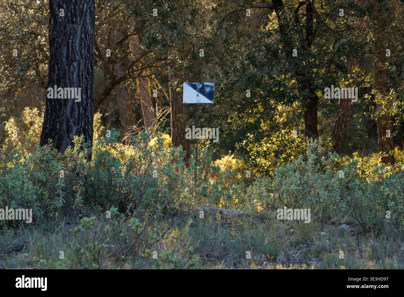 Terrain de chasse privé signe dans une forêt de pins, Bocairent, Espagne Banque D'Images