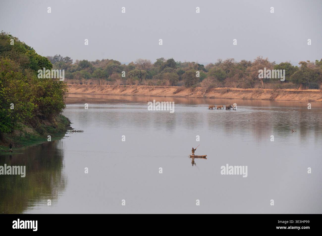 Canot de dugout sur la rivière Luangwa avec des éléphants, South Luangwa National Park, Zambie Banque D'Images