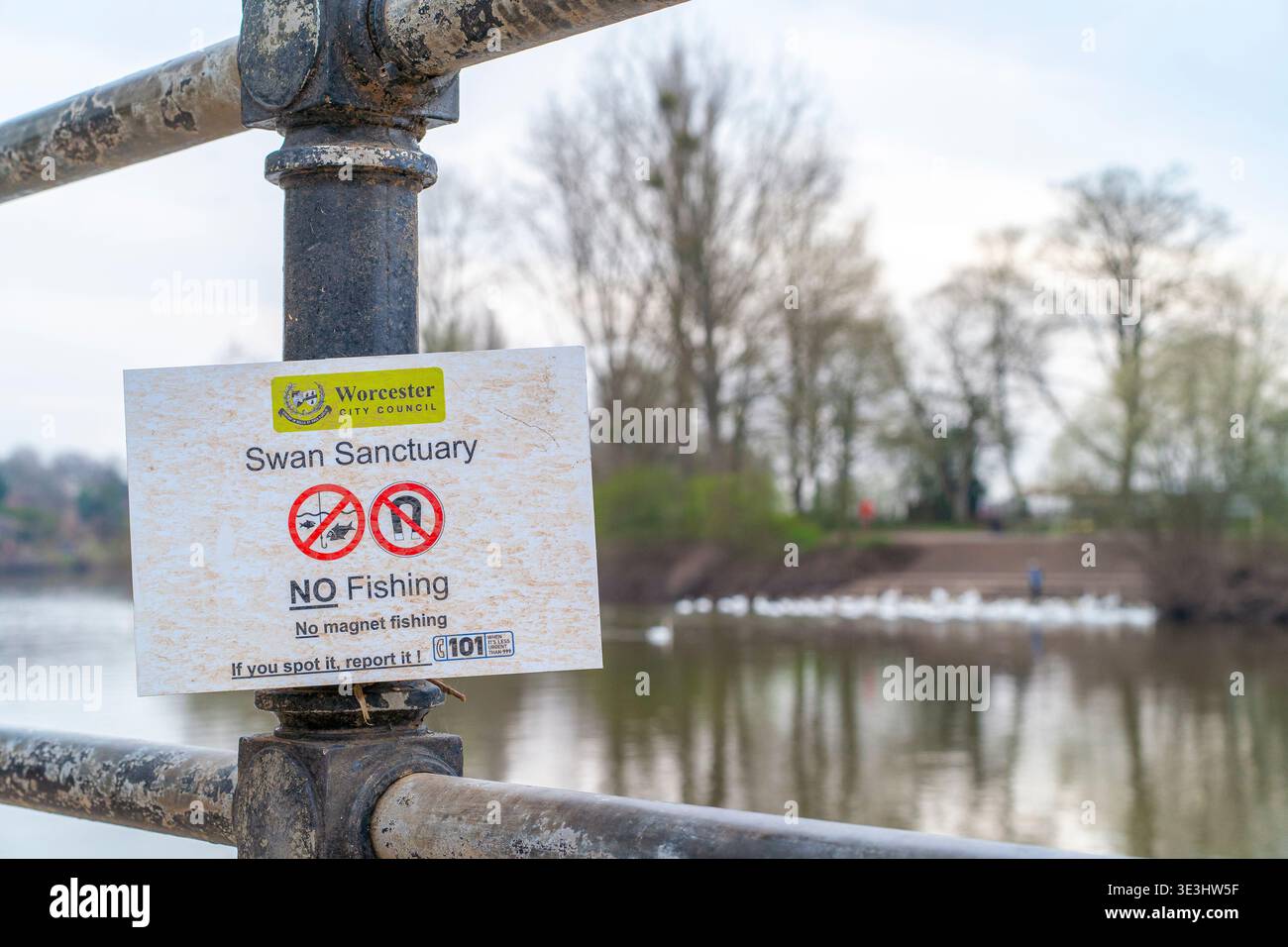 Vue rapprochée d'un sanctuaire des cygnes, pas de pêche, pas de signe de pêche magnétique, sur un poteau en fonte sur la rivière Severn à Worcester, surplombant un troupeau de SW Banque D'Images
