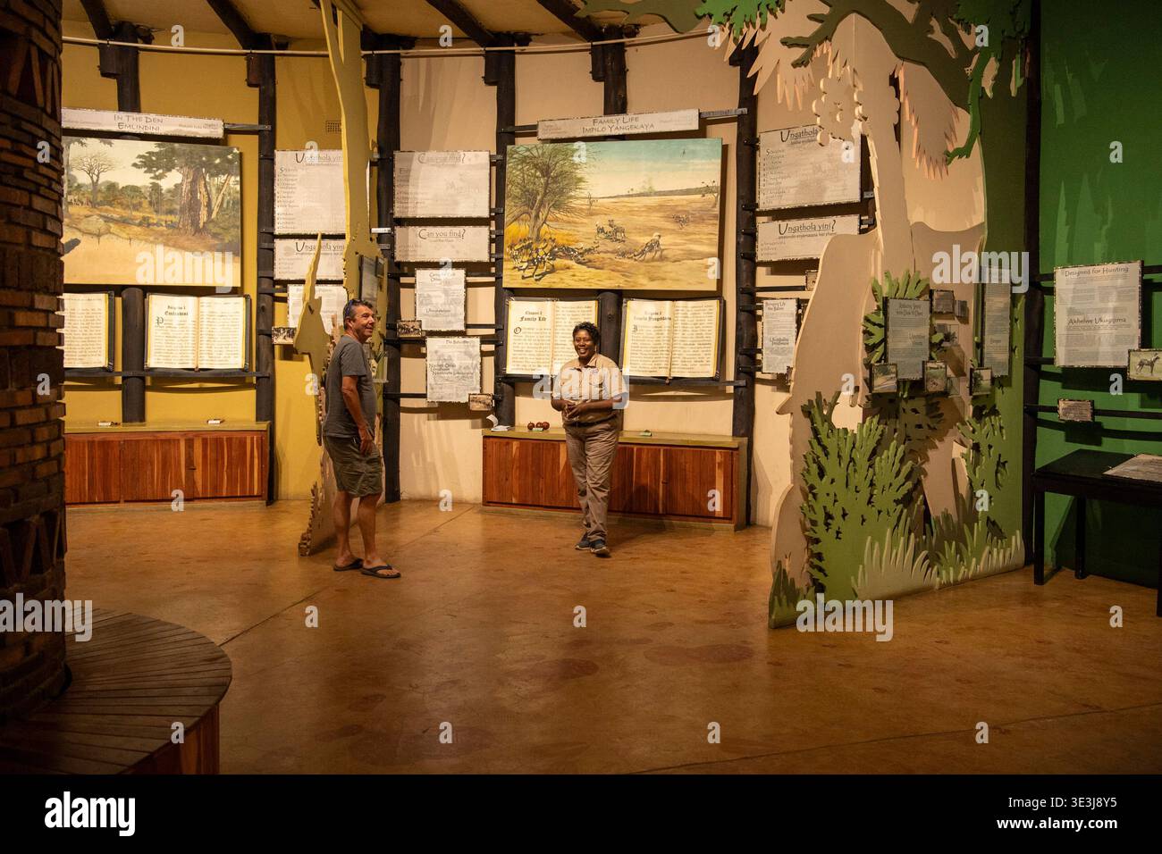 Centre des visiteurs, conservation des chiens peints, Zimbabwe Banque D'Images