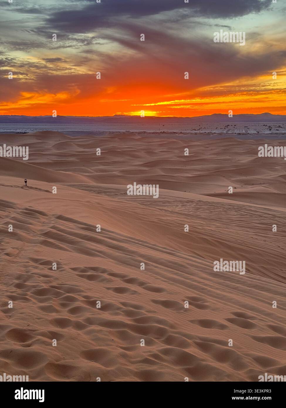 Coucher de soleil sur les dunes Erg Chebbi au Maroc avec la lumière dorée du désert et des paysages de dunes de sable atmosphérique. - Image de stock capturée avec un smartphone