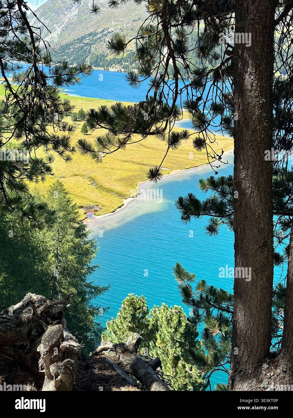 Vues estivales sur la vallée de l'Engadine en Suisse avec des lacs alpins, des rivières et des paysages de montagne majestueux dans les Alpes suisses. - Image de stock capturée avec un smartphone