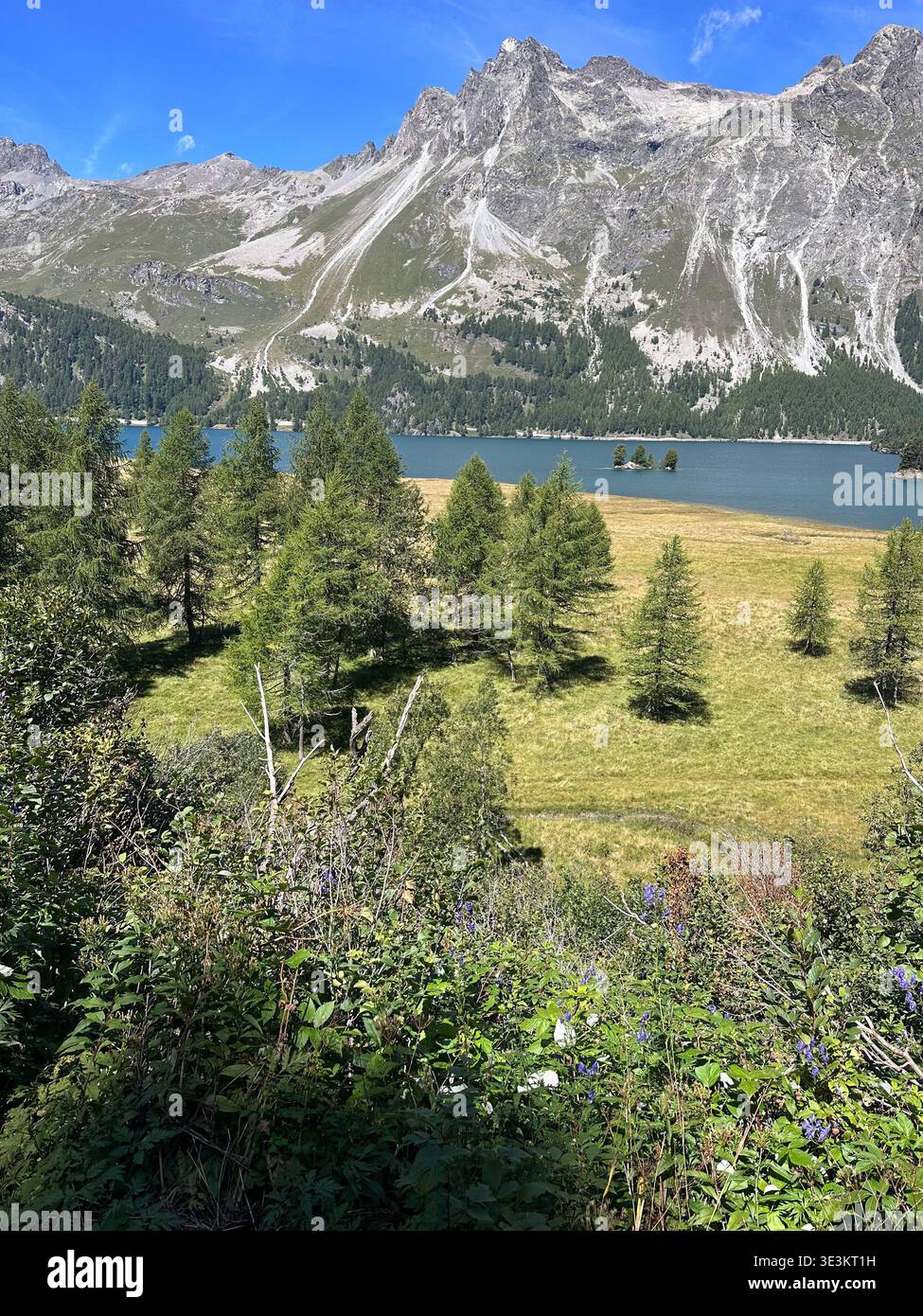 Vues estivales sur la vallée de l'Engadine en Suisse avec des lacs alpins, des rivières et des paysages de montagne majestueux dans les Alpes suisses. - Image de stock capturée avec un smartphone