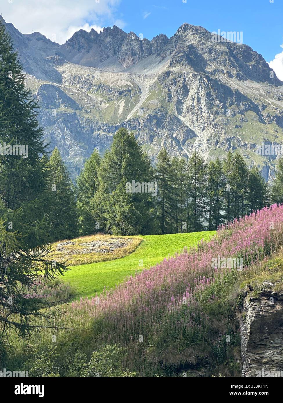 Vues estivales sur la vallée de l'Engadine en Suisse avec des lacs alpins, des rivières et des paysages de montagne majestueux dans les Alpes suisses. - Image de stock capturée avec un smartphone