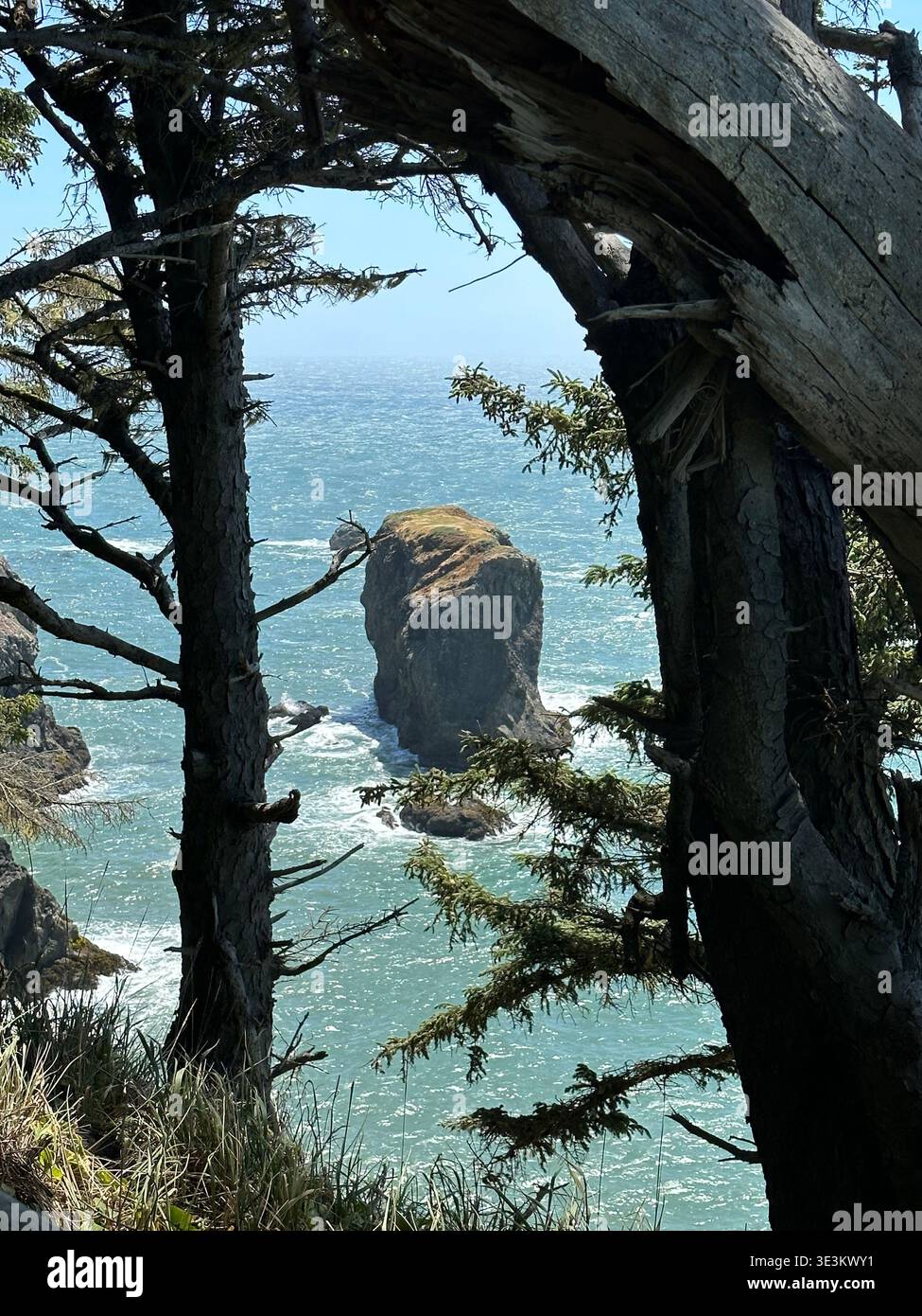 Arc rocheux naturel au Natural Bridges State Park sur la côte de l'Oregon, aux États-Unis, avec une eau turquoise et des falaises accidentées, un paysage côtier pittoresque. - Image de stock capturée avec un smartphone