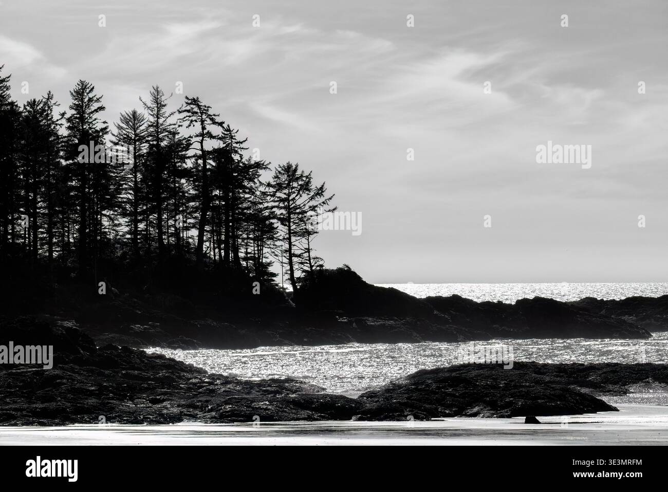 Vues côtières depuis le centre d'accueil Kwisitis dans la réserve de parc national Pacific Rim, île de Vancouver, Colombie-Britannique, Canada [image noir et blanc] Banque D'Images