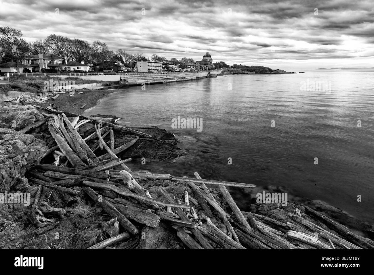 Littoral et plage de bois flotté sur Dallas Road - Victoria, Vancouver Island, Colombie-Britannique, Canada [image en noir et blanc] Banque D'Images