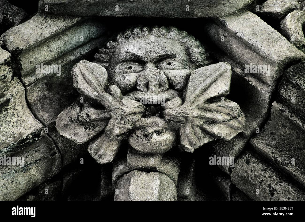Pierre sculptée homme vert détail du plafond en 15e C. Chapter House à l'abbaye de Glenluce, Dumfries et Galloway, Écosse Royaume-Uni Région Banque D'Images