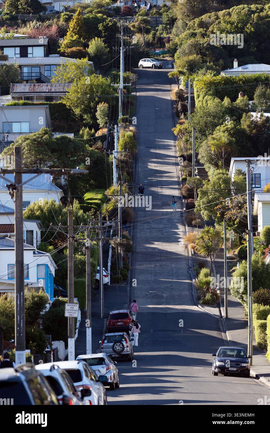 Baldwin Street, la rue résidentielle la plus raide du monde, Dunedin, Otago, Île du Sud, Nouvelle-Zélande. Banque D'Images