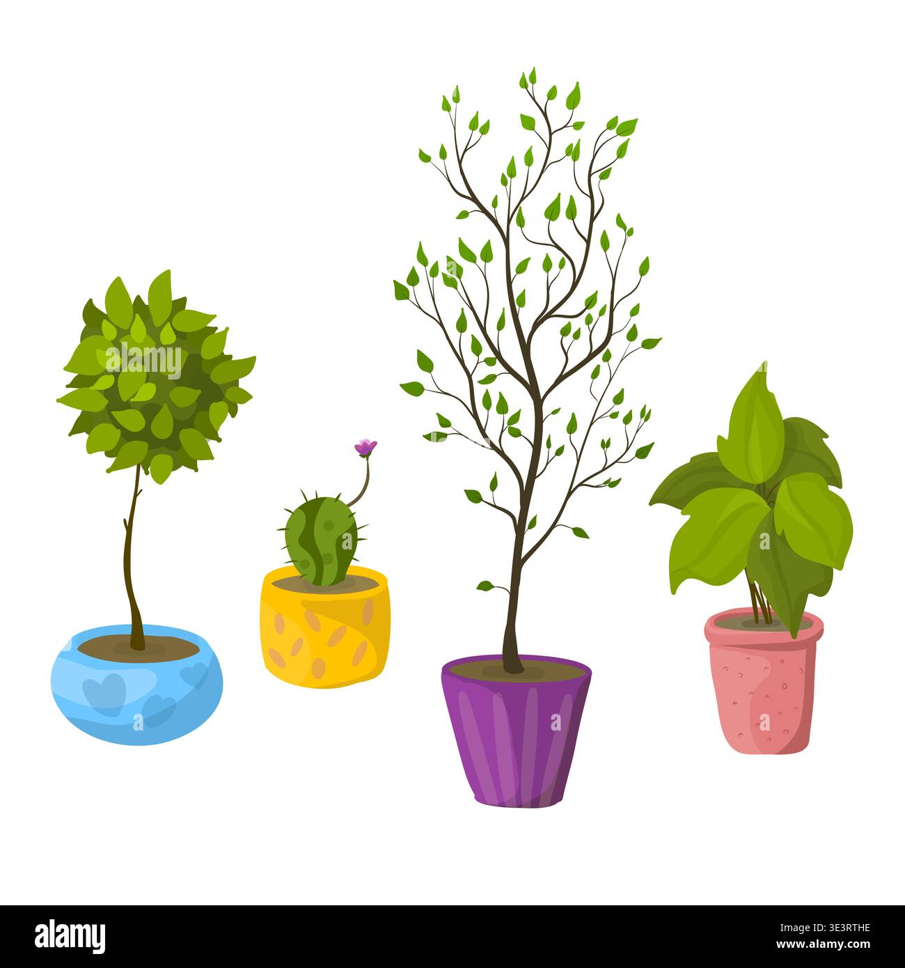 Images vectorielles de plantes d'intérieur en pot sur un fond blanc, un arbre en pot vert et une plante d'intérieur en pot. Illustration de Vecteur