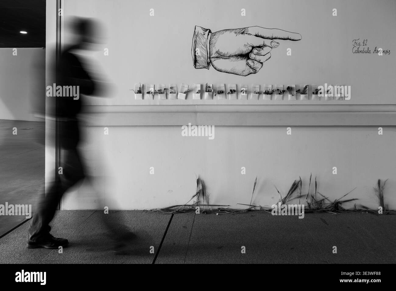 MALAGA, ESPAGNE - 1er FÉVRIER 2026 : une spectaculaire photographie de rue en noir et blanc capturant un piéton flou marchant devant une grande murale i Banque D'Images