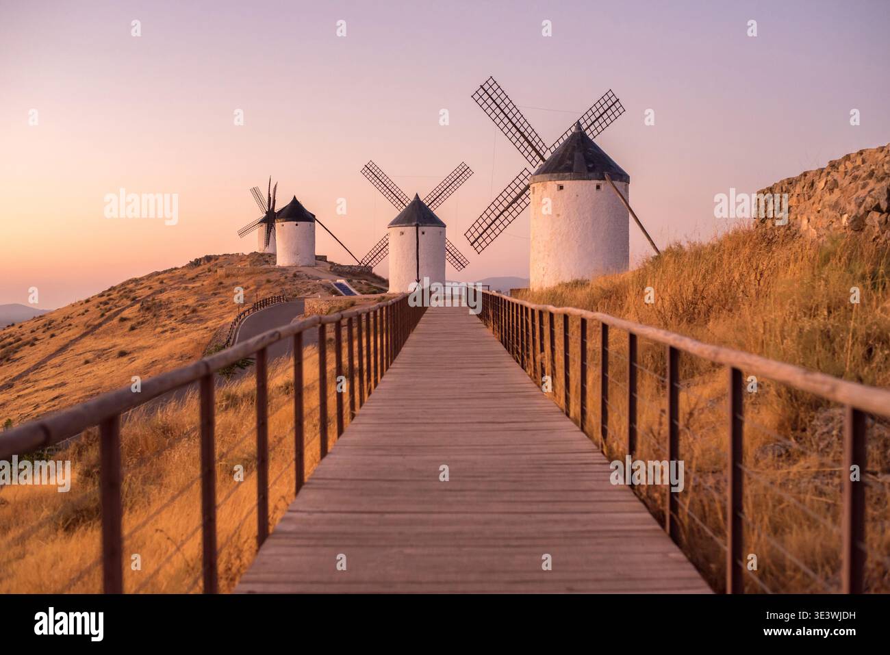 Vue pittoresque sur le coucher du soleil des moulins à vent emblématiques sur une colline à Consuegra, la Mancha, Espagne, avec une passerelle en bois menant à eux, entourée de doré Banque D'Images