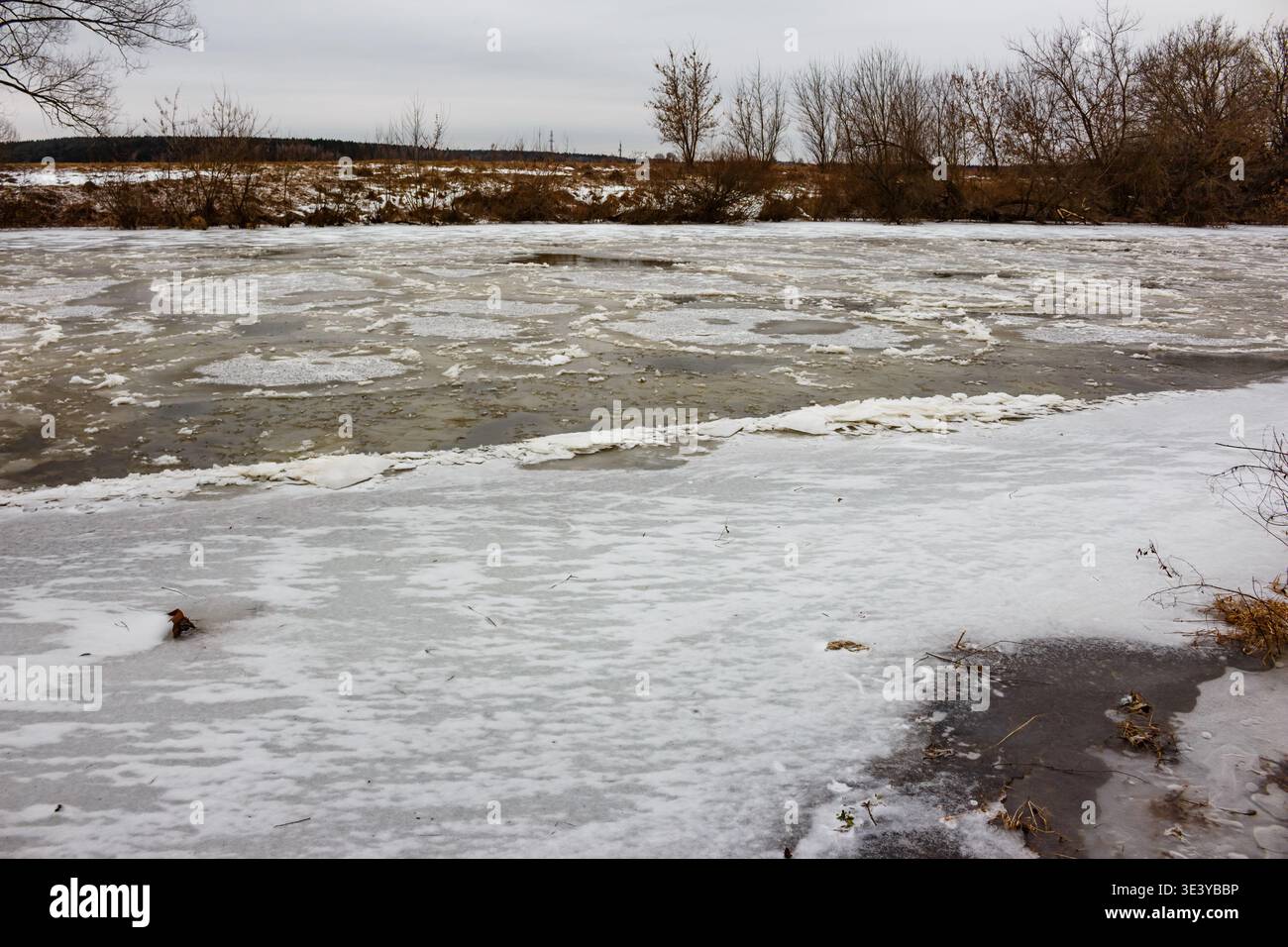 La glace de Frazil et la neige fondante couvrent une surface de rivière partiellement gelée sous un ciel d'hiver sombre, un oiseau minuscule près de la lisière de glace du premier plan Banque D'Images