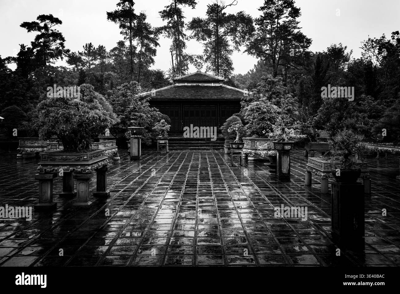 Cour symétrique baignée de pluie avec des bonsaï flanquant un pavillon en bois sombre, pagode Thien Mu, Hue, Vietnam. Banque D'Images