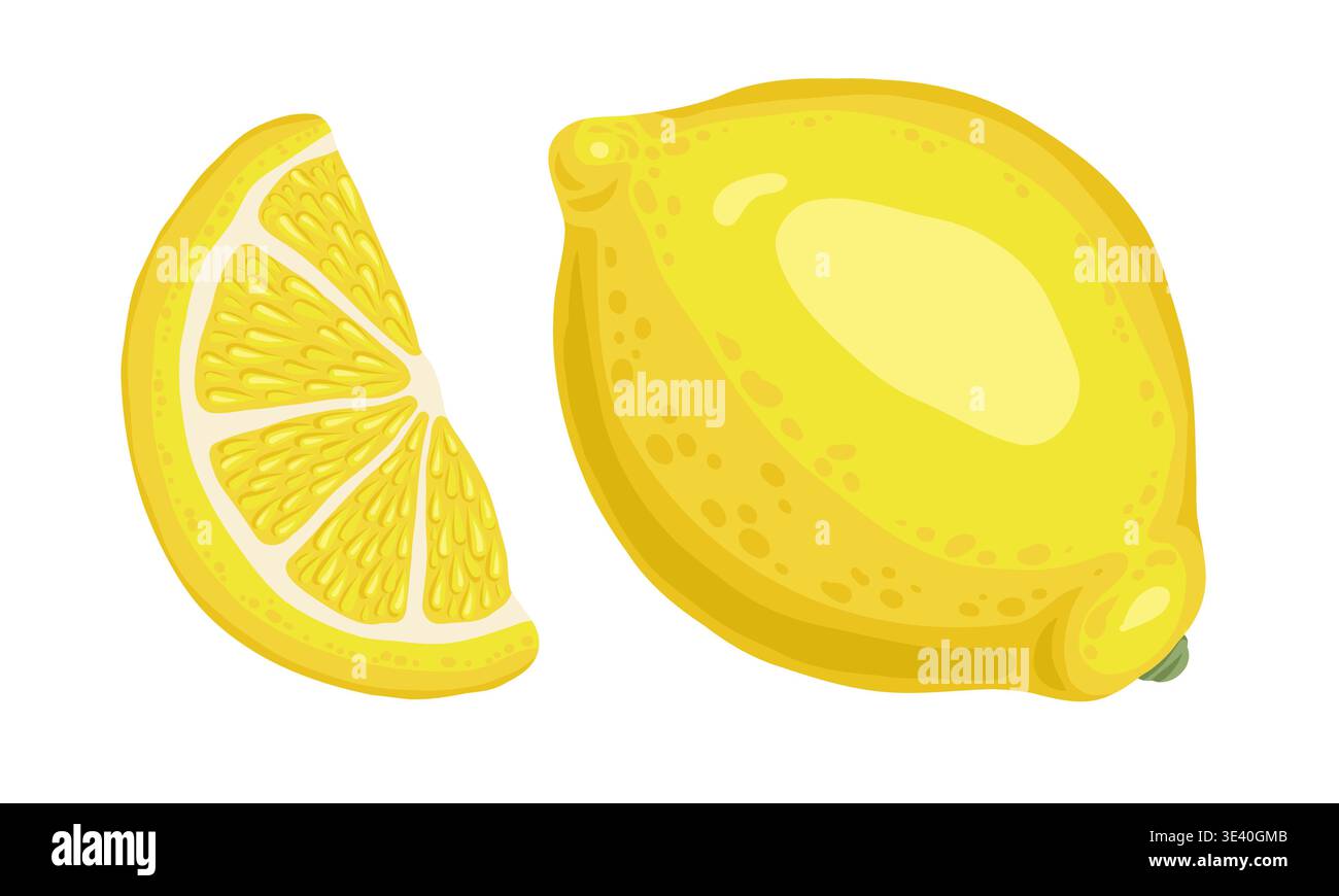 Ensemble de citron jaune de fruit entier et illustration vectorielle de tranche. Dessin de doodle de cuisine italienne pour le menu méditerranéen et le modèle de restaurant. Dessin isolé aux agrumes pour la cuisson et la conception des produits. Illustration de Vecteur