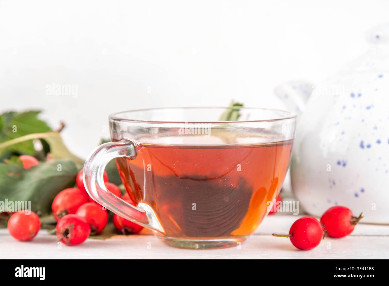 Thé parfumé aux baies d'aubépine d'automne. Boisson chaude biologique à base de plantes à base de baies d'aubépine de forêt sauvage, sur fond de bois blanc Banque D'Images