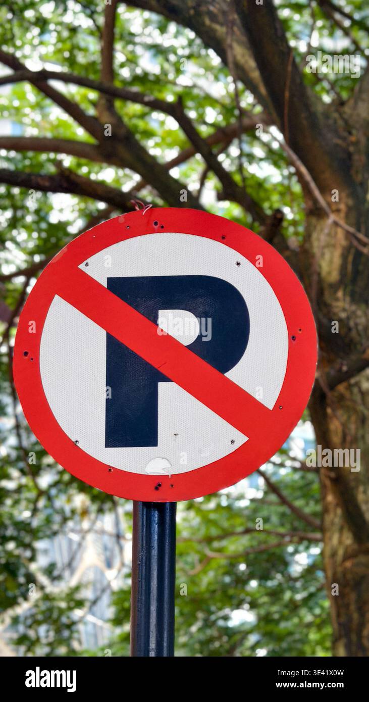 Aucun panneau de signalisation de stationnement monté à l'extérieur avec des arbres en arrière-plan. Banque D'Images