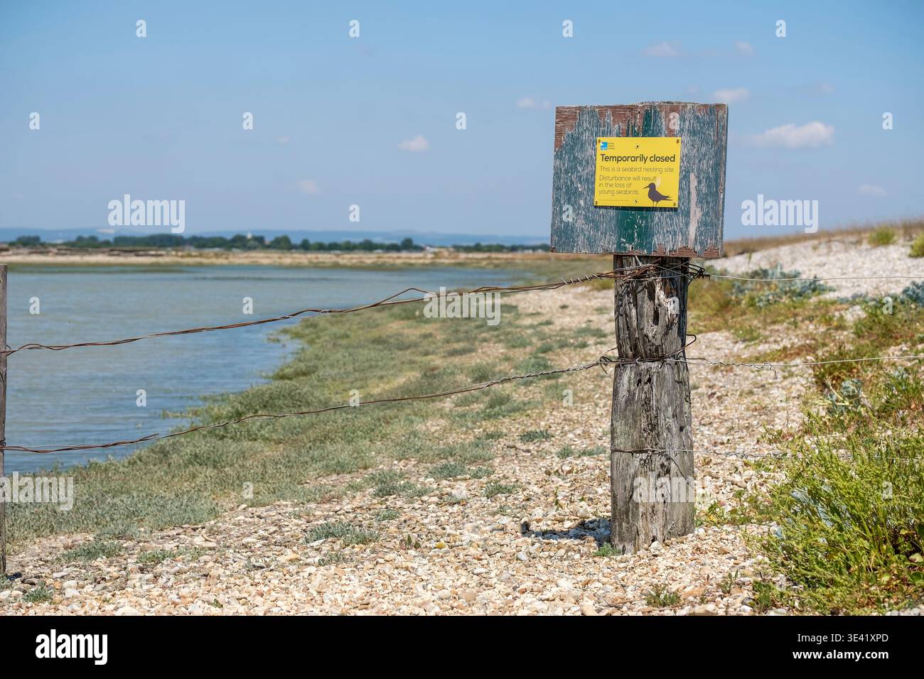 Panneau de fermeture temporaire de la RSPB pour protéger les oiseaux nicheurs au sol qui nichent sur des bardeaux exposés, port de Pagham, West Sussex, Royaume-Uni Banque D'Images