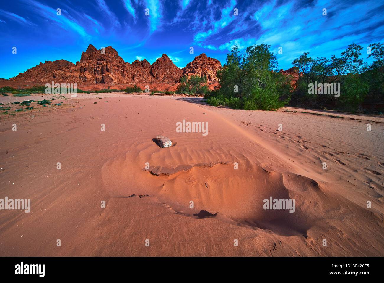Red Sand Dunes formations rocheuses escarpées et végétation désertique dans la Vallée de feu Banque D'Images
